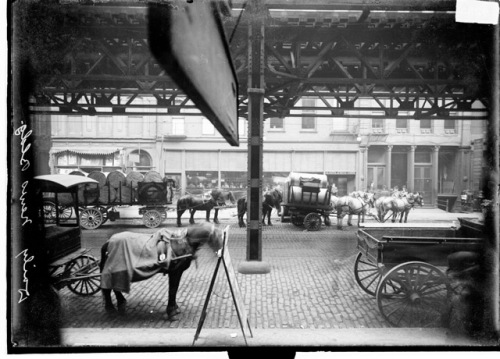 DN-0009255, Chicago Daily News negatives collection, Chicago Historical Society.